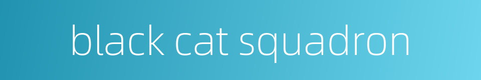 black cat squadron的同义词