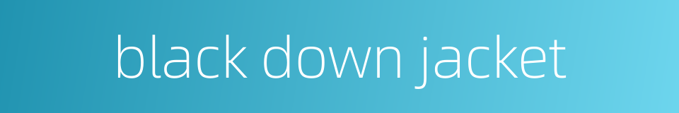 black down jacket的同义词