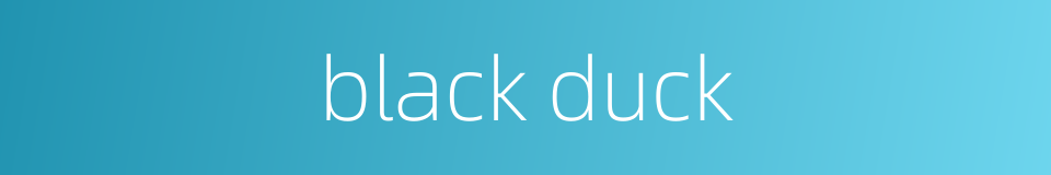 black duck的同义词