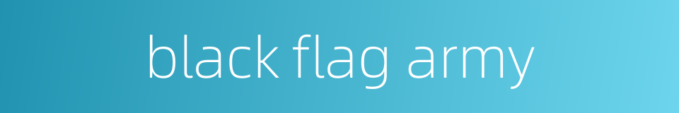 black flag army的同义词