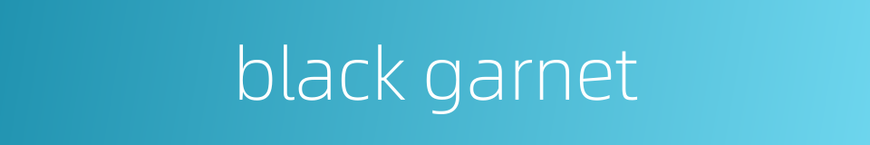 black garnet的同义词