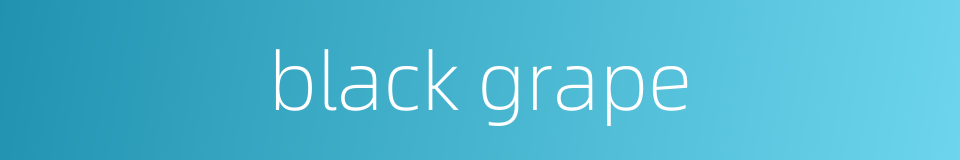 black grape的同义词