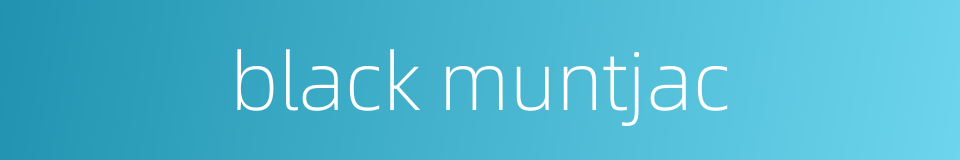 black muntjac的同义词