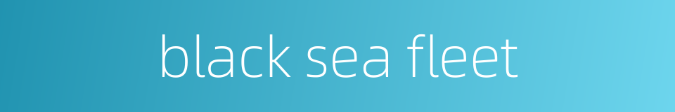 black sea fleet的同义词
