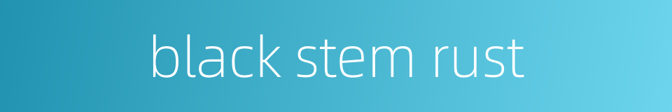 black stem rust的同义词
