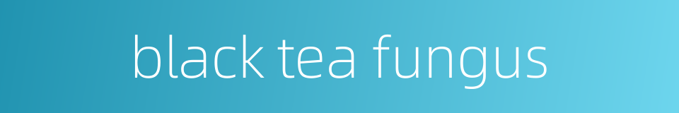 black tea fungus的同义词