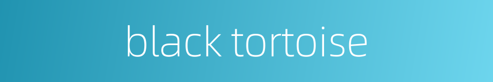 black tortoise的同义词