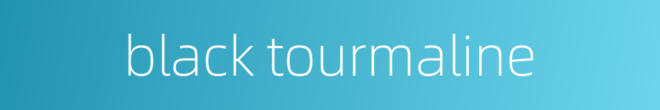 black tourmaline的同义词