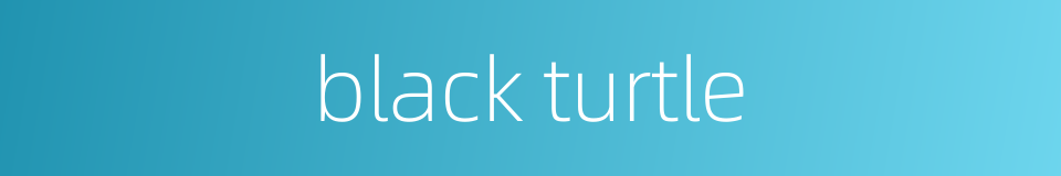 black turtle的同义词