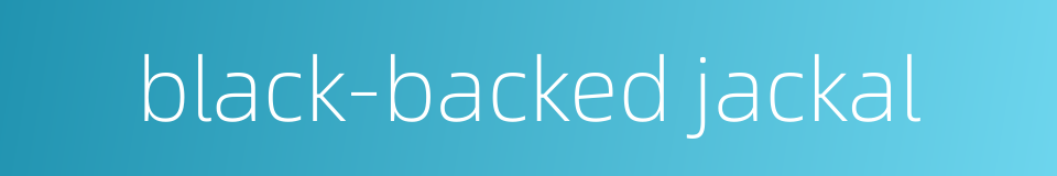 black-backed jackal的同义词