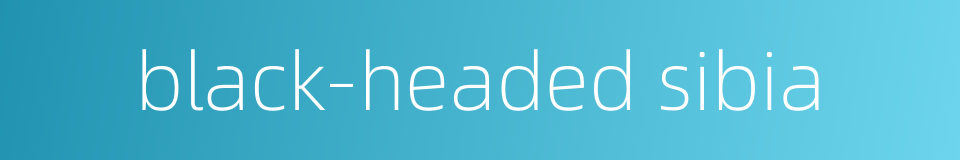 black-headed sibia的同义词