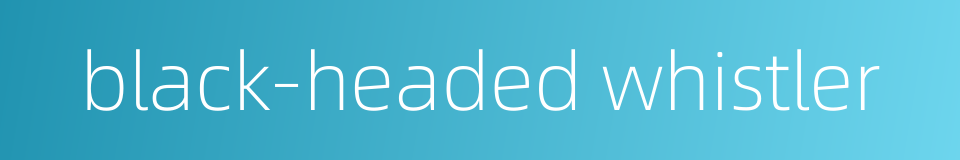 black-headed whistler的同义词