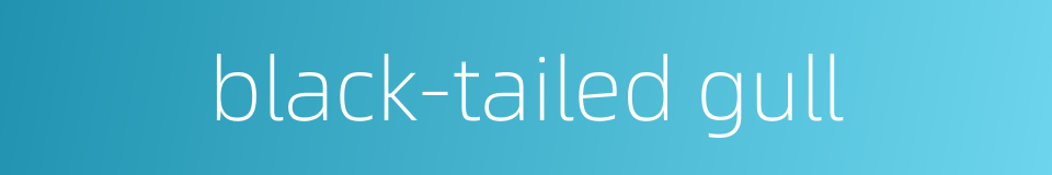 black-tailed gull的同义词