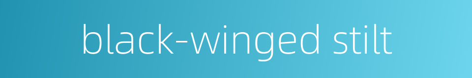 black-winged stilt的同义词