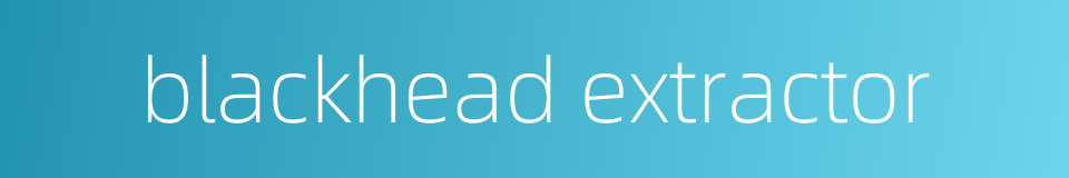 blackhead extractor的同义词
