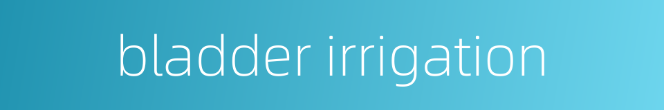 bladder irrigation的同义词