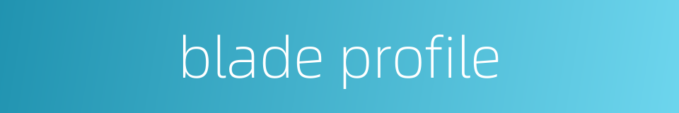 blade profile的同义词