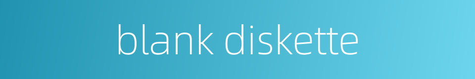 blank diskette的同义词