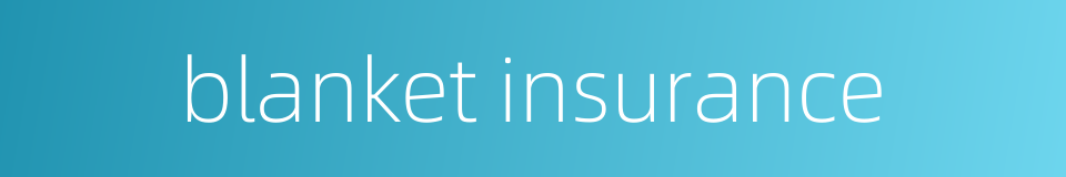 blanket insurance的同义词