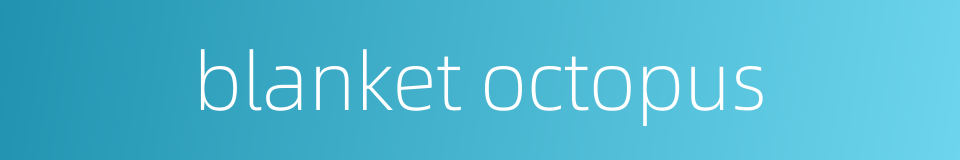 blanket octopus的同义词