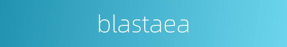 blastaea的同义词