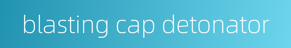 blasting cap detonator的同义词