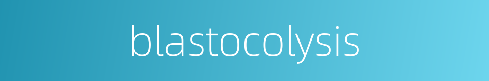 blastocolysis的同义词