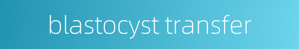 blastocyst transfer的同义词