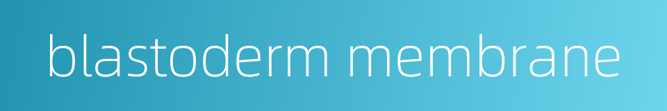 blastoderm membrane的同义词