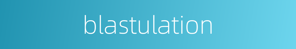 blastulation的同义词