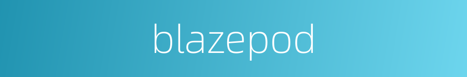 blazepod的同义词