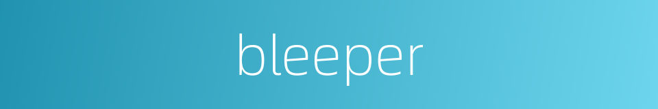 bleeper的同义词