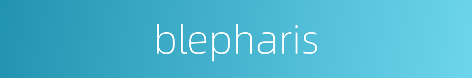 blepharis的同义词
