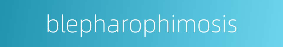 blepharophimosis的同义词