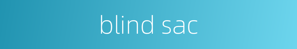 blind sac的同义词