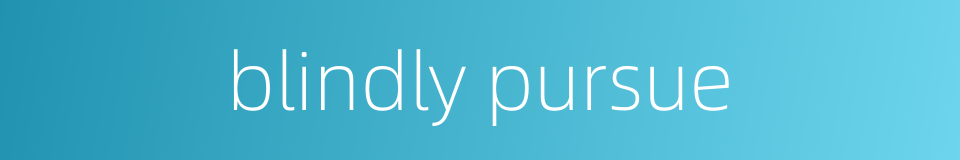 blindly pursue的同义词