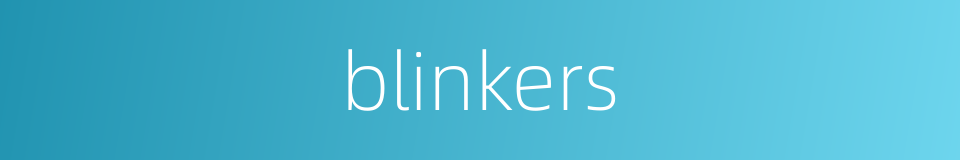blinkers的同义词