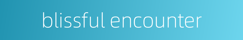 blissful encounter的同义词