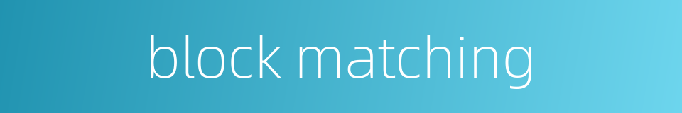 block matching的同义词