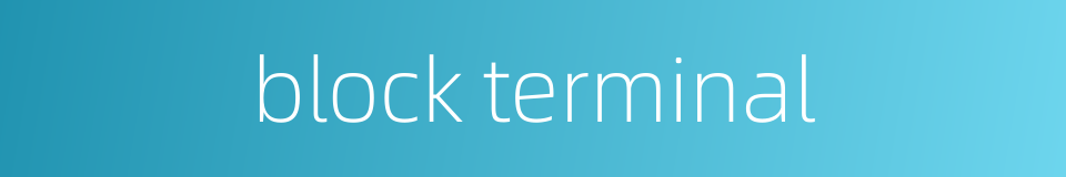 block terminal的同义词