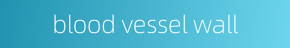 blood vessel wall的同义词