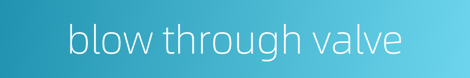 blow through valve的同义词