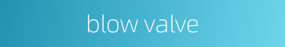 blow valve的同义词
