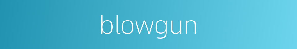 blowgun的同义词