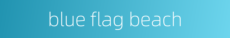blue flag beach的同义词