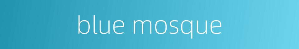 blue mosque的同义词