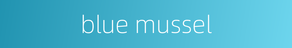 blue mussel的同义词