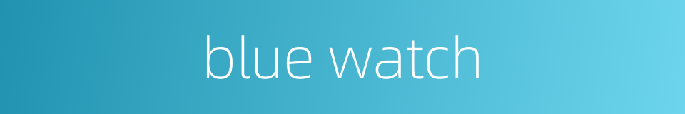 blue watch的同义词