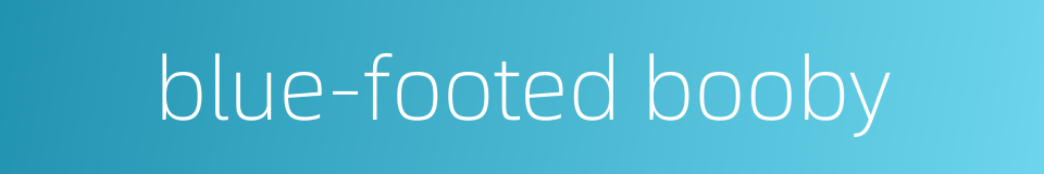 blue-footed booby的同义词