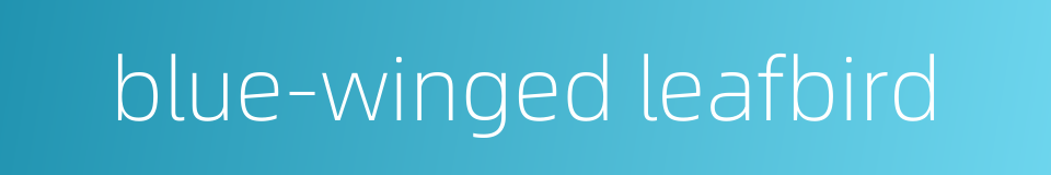 blue-winged leafbird的同义词